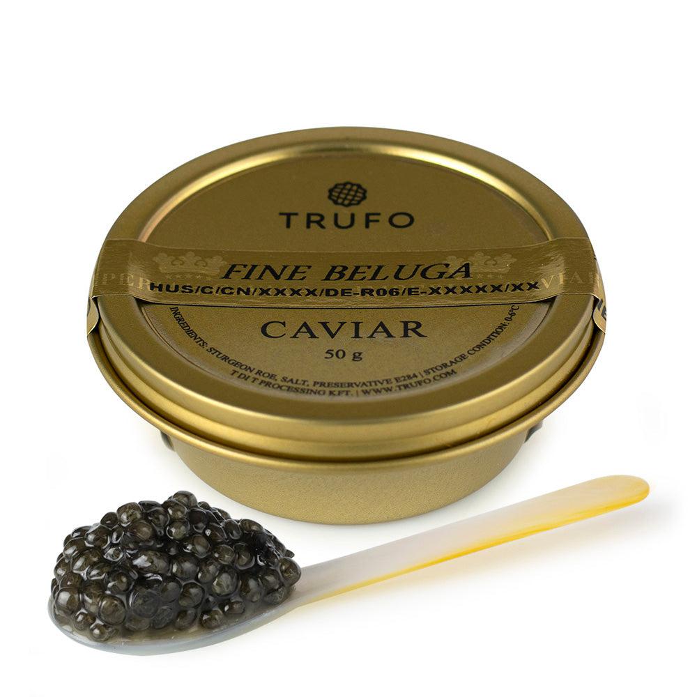 Caviar Beluga fin (Huso huso)-Prandium PREMIUM FOODS