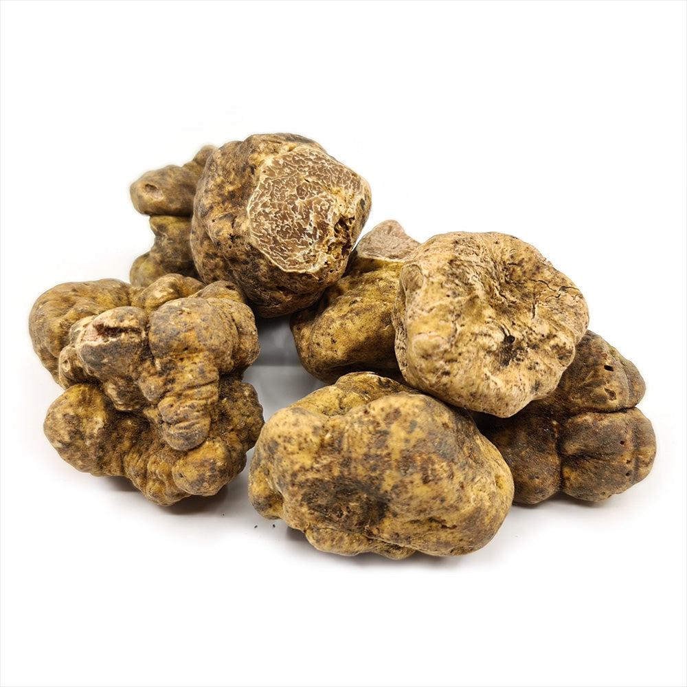 Trufe albe de Piemont (Tuber magnatum)-Prandium PREMIUM FOODS