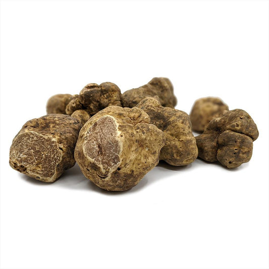 Trufe albe de Piemont (Tuber magnatum)-Prandium PREMIUM FOODS