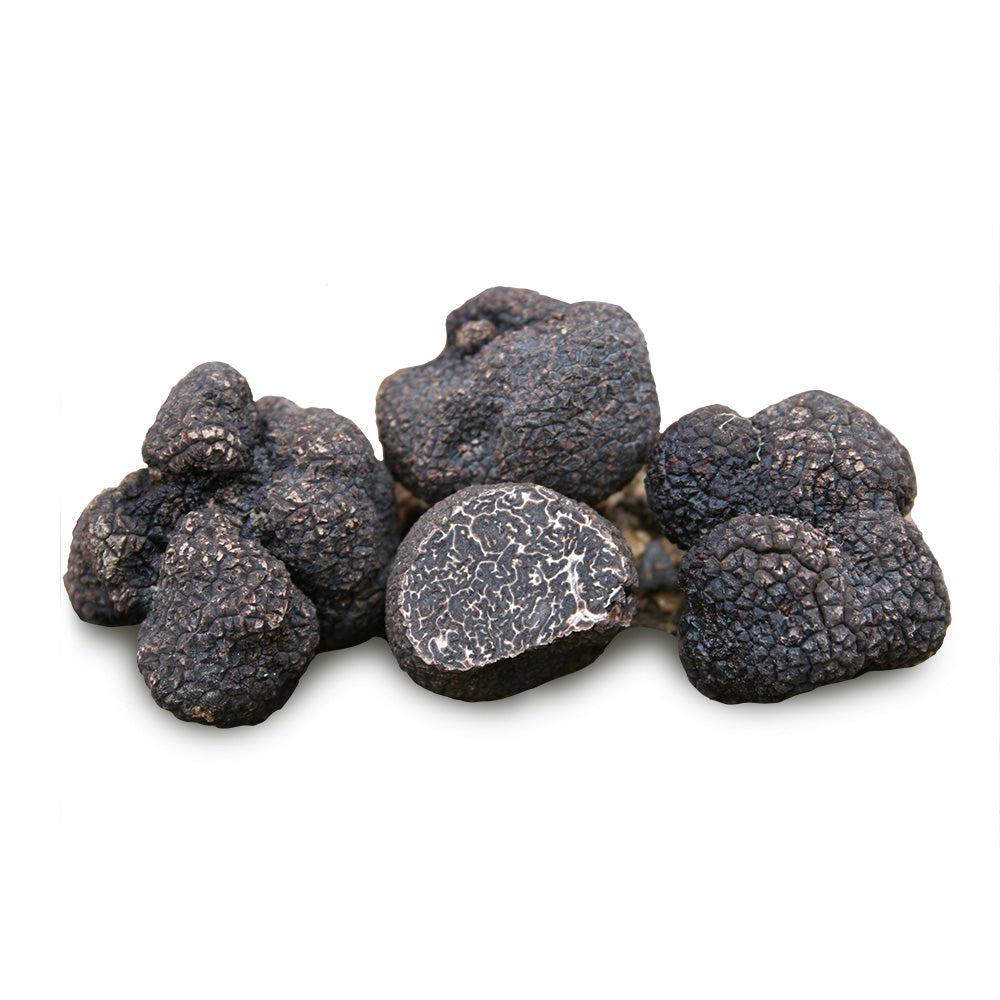 Trufe negre Perigord (Tuber melanosporum)-Prandium PREMIUM FOODS